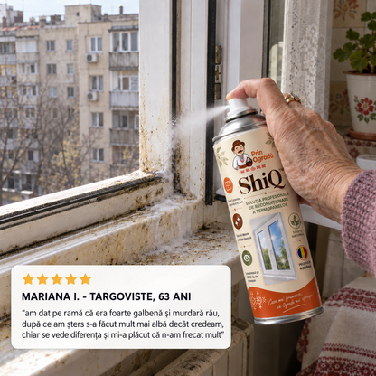 ShiQ™ - Soluția Profesională de Recondiționare a Termopanelor