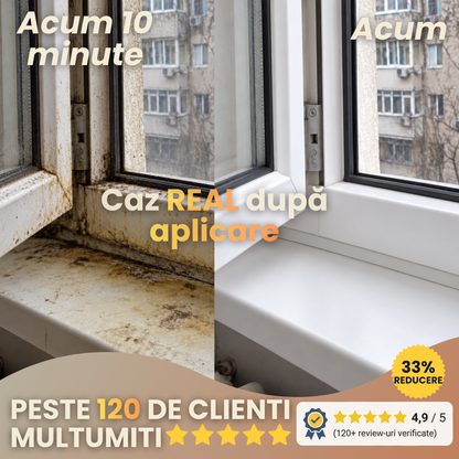 ShiQ™ - Soluția Profesională de Recondiționare a Termopanelor