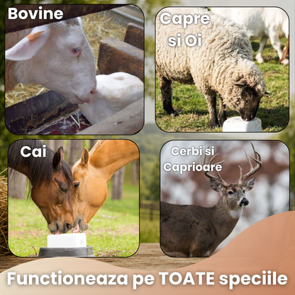 SaliniX™ - Bricheta de Sare cu Minerale pentru Capre și Oi