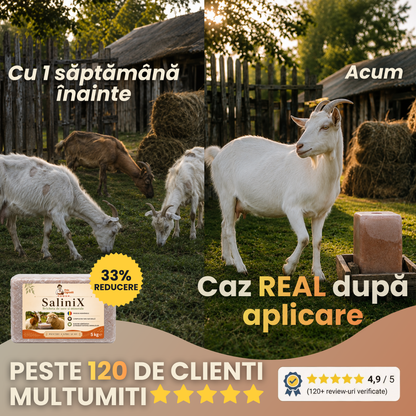 SaliniX™ - Bricheta de Sare cu Minerale pentru Capre și Oi