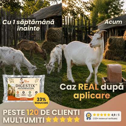 Digestix™ - Antiparazitar Pentru Oi și Capre