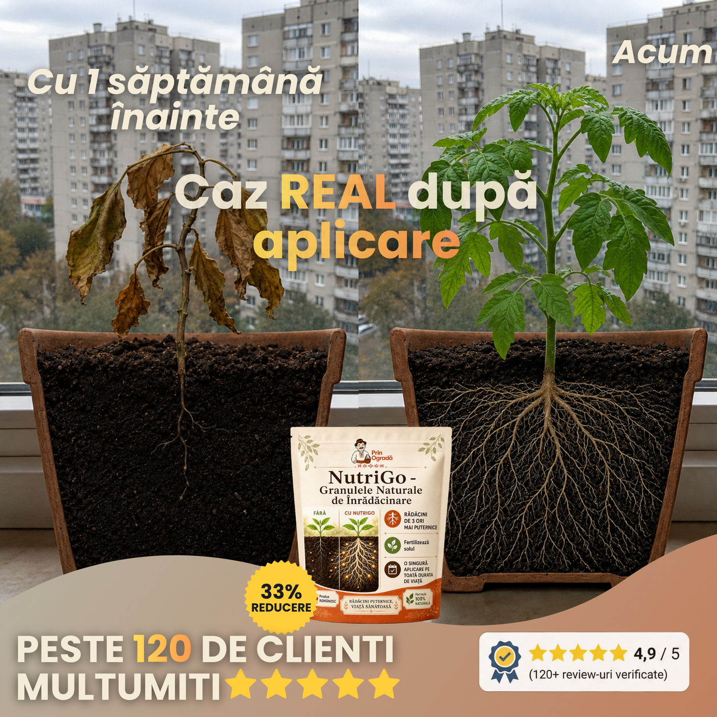 NutriGo™ - Granulele Naturale de Înrădăcinare